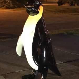 Meet your Posher, Joanna